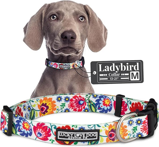 Lucky Love Dog - Adjustable Dog Collar with Easy Click Buckle for Small to Large Ones, Durable, & Comfortable for Male & Female Dogs, Pet Collar for Puppies & Adult Dogs - Ladybird, Medium