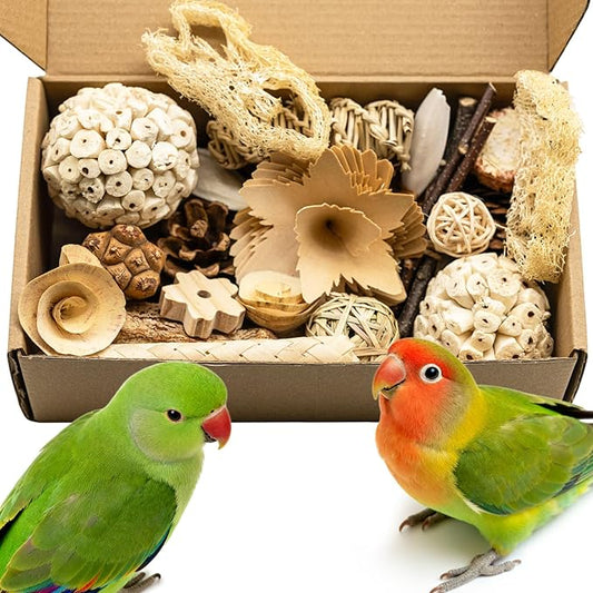 Parrot Foraging Toys Box Shredding & Chewing Toy for Parakeets, Cockatiels, Conures, Budgies, Love Birds | Small-Medium Parrot Toys