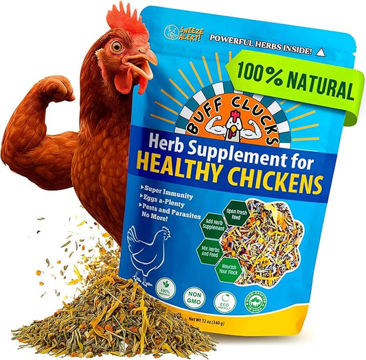 Herb Supplement for Backyard Chickens - Natural Chicken Treats, Poultry Feed Botanical Mix, Plant-Based Coop Snacks for Daily Wellness, Feather Quality, Egg Production, USA (12 oz)