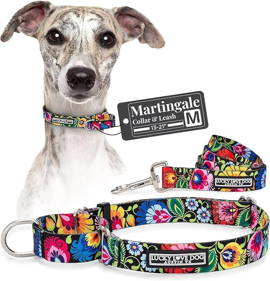 Lucky Love Dog Martingale Dog Collar & Leash - Adjustable, No-Slip, Durable, Comfortable, Soft Webbing, & Stylish Patterned Collar & Leash Set for Male and Female Dogs - Blackbird Combo, Medium