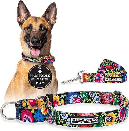 Lucky Love Dog Martingale Dog Collar & Leash - Adjustable, No-Slip, Durable, Comfortable, Soft Webbing, & Stylish Patterned Collar & Leash Set for Male and Female Dogs - Blackbird Combo, Large