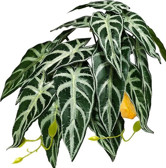 Woyrise Reptile Plants for Terrarium Decor, Ball Python Tank Accessories fit Bearded Dragon Crested Leopard Gecko Lizard Chameleon Snake Frog Tortoise Hermit Crab - Fake Alocasia Black Velvet