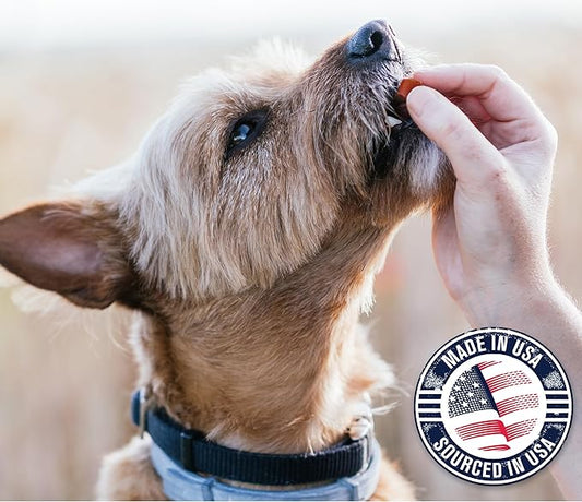 Riley's Slims Dried Sweet Potato Dog Treats - Dehydrated Chews for Dogs - Single Ingredient USA Sourced Made in The USA - 7.5 oz