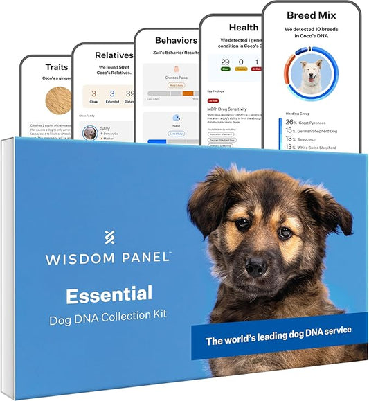 Wisdom Health Essential Dog DNA Kit | Most Accurate Test | 365+ Breeds | 30 Genetic Health Conditions | 50+ Traits, Relatives, Ancestry | Pack of 1