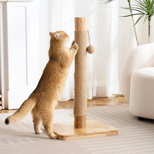 29" Tall Cat Scratching Post for Indoor Cats Adults, Extra-Stable & Natural Solid Wood Scratching Post Sisal Scratcher with Hanging Funny Ball, Beige