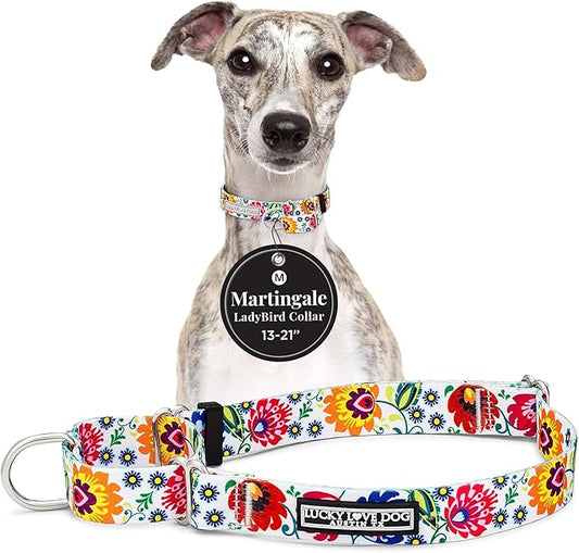 Lucky Love Dog Martingale Dog Collar - Adjustable, No-Slip, Durable, & Soft Webbing Collar for Male and Female Dogs Ideal for Training & Walking - Ladybird, Medium