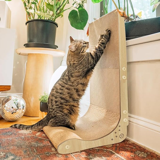 Necoichi Cardboard Cat Scratcher Wall for Indoor Cats - Cat Scratching Board, Cat Scratch Pad Lounger with Reversible Usability and Extra Comfort for Lounge, Curved (Oak, Regular)