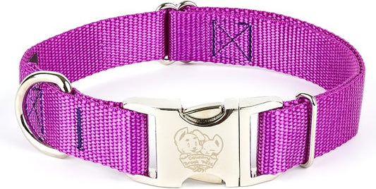 Country Brook Petz - 33 Vibrant Colors - American Made Deluxe Nylon Dog Collar with Buckle (Medium, 3/4 Inch, Bright Purple)