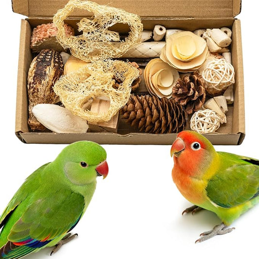 Parrot Foraging Toys Box Shredding & Chewing Toy for Parakeets, Cockatiels, Conures, Budgies, Love Birds | Small-Medium Parrot Toys