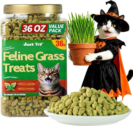 Just Try 36 OZ Cat Treats for Indoor Cats Hairball Control Natural Salmon Healthy Cat Grass Treats Kitten Snacks Training Biscuits Catnip for Cats Dental Care