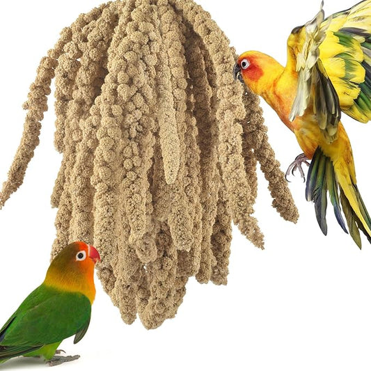 ERKOON 1.5LB Spray Millet Treat, All Natural Sun-Dried Healthy Treat Parrot Food Bird Snack for Parakeets, Lovebirds, Cockatiels, Finches, Budgies, Canaries Hamster, Bird Food Bulk