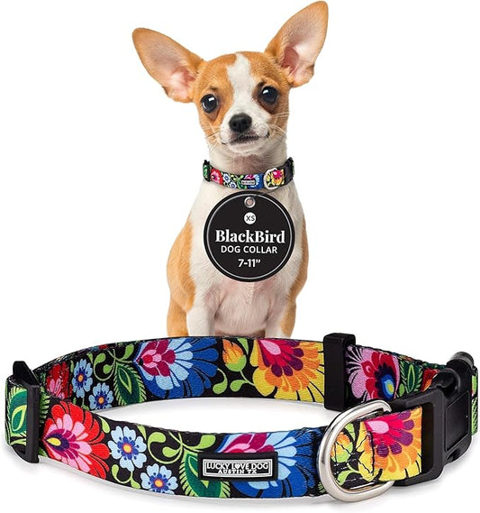Lucky Love Dog - Adjustable Dog Collar with Easy Click Buckle for Small to Large Ones, Durable, & Comfortable for Male & Female Dogs, Pet Collar for Puppies & Adult Dogs - Blackbird, X-Small