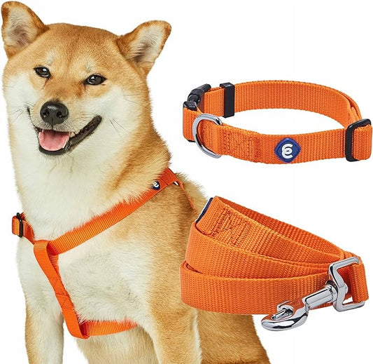 Blueberry Pet Essentials Matching Dog Collar Leash Harness Set in Orange Vermilion, Adjustable Classic Solid Color Nylon Collar with Harness & 5 ft Leash for Medium Dogs