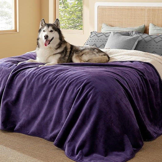 Bedsure Waterproof Blanket for Bed - Sherpa Fleece Waterproof Dog Blankets for Large Dogs, Pet Blankets for Bed/Couch/Dog Crate, Soft Plush Reversible Furniture Protector, King, 108"x86", Eggplant