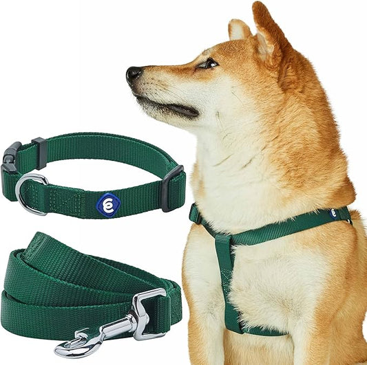Blueberry Pet Essentials Matching Dog Collar Leash Harness Set in Verdant Green, Adjustable Classic Solid Color Nylon Collar with Harness & 4 ft Leash for Large Dogs